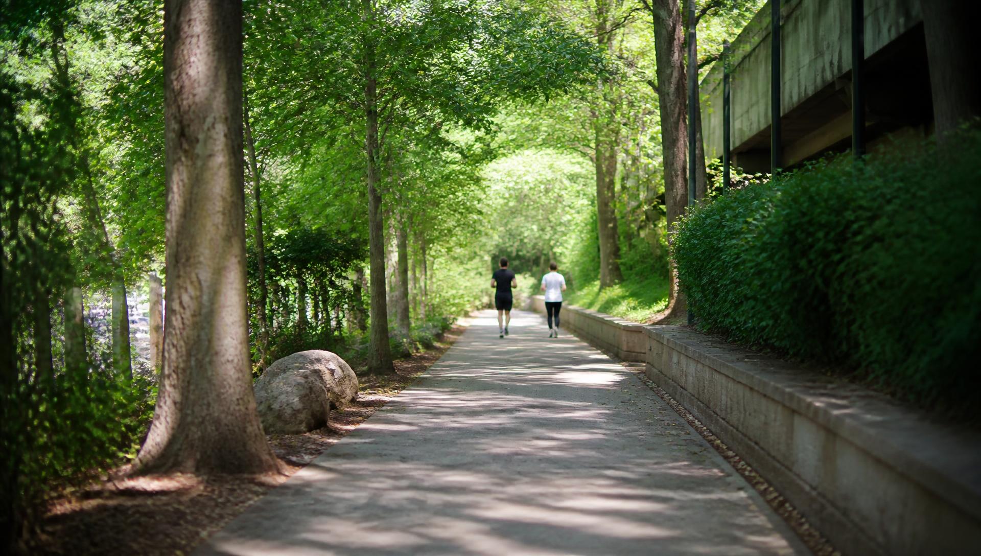 The Briar Creek greenway trail beside restored wetland near Chantilly