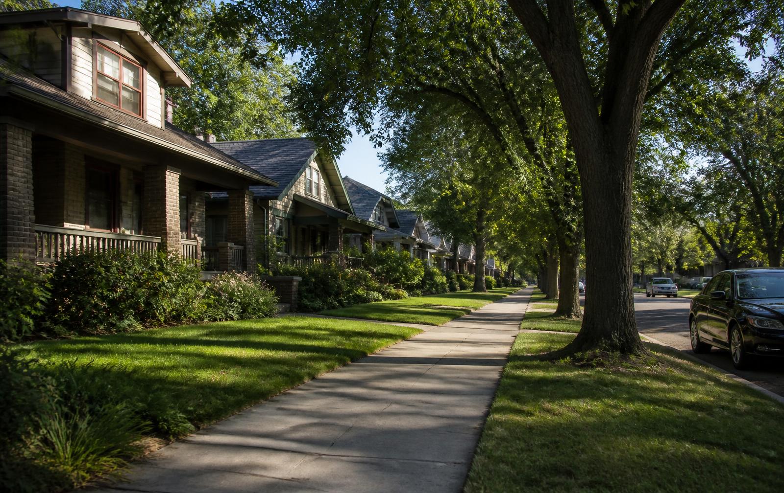 Tree-lined street of historic homes in the Chantilly corridor, Charlotte NC